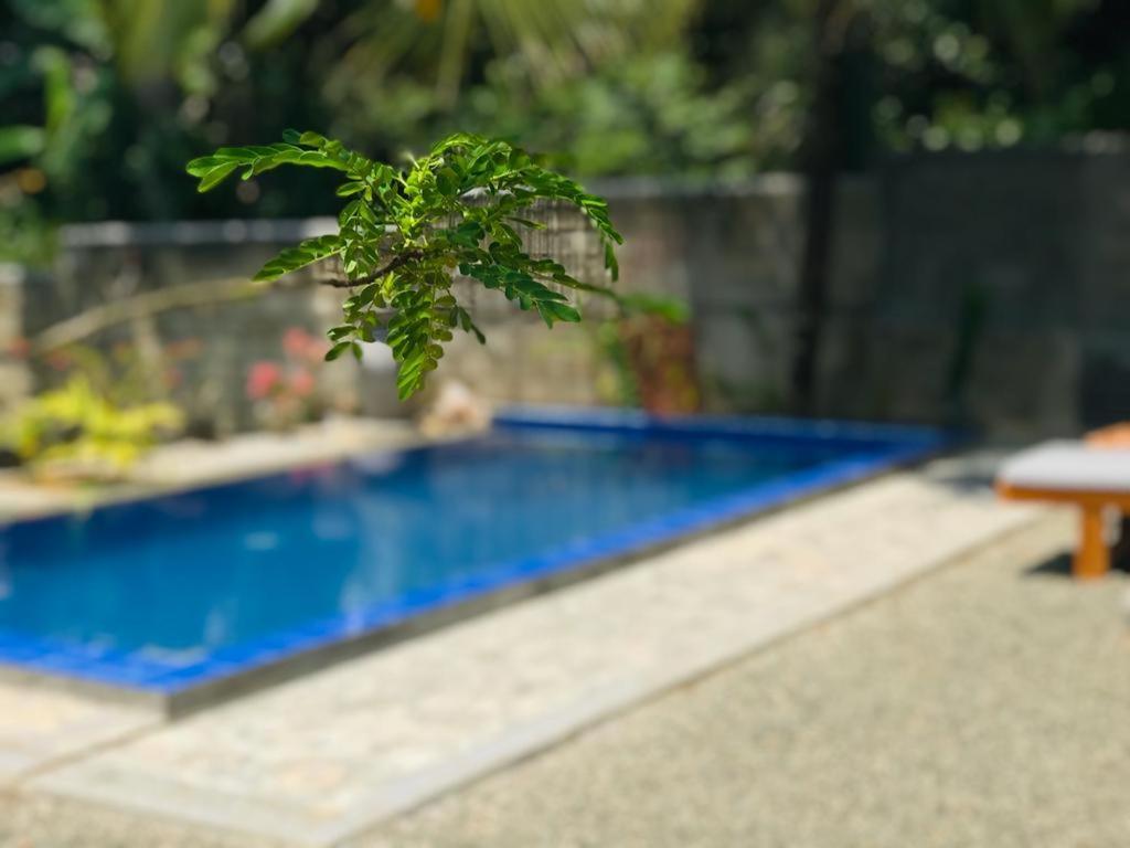 Peaceful Green Villa Unawatuna Exterior photo